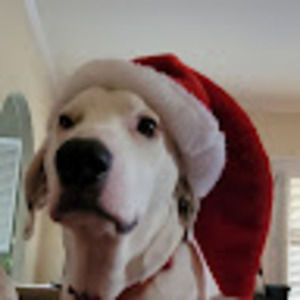 Meet your Posher, Jimm